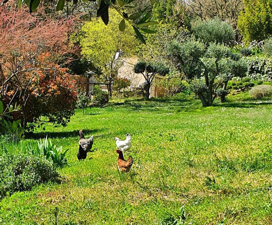 Monteze Paradis Saint-Christol-lès-Alès Eksteriør billede